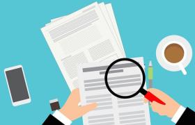 Revenue Audit
