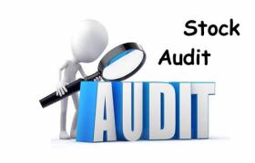Stock Audit