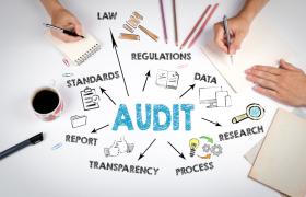 What Is Audit And Assurance Details ?
